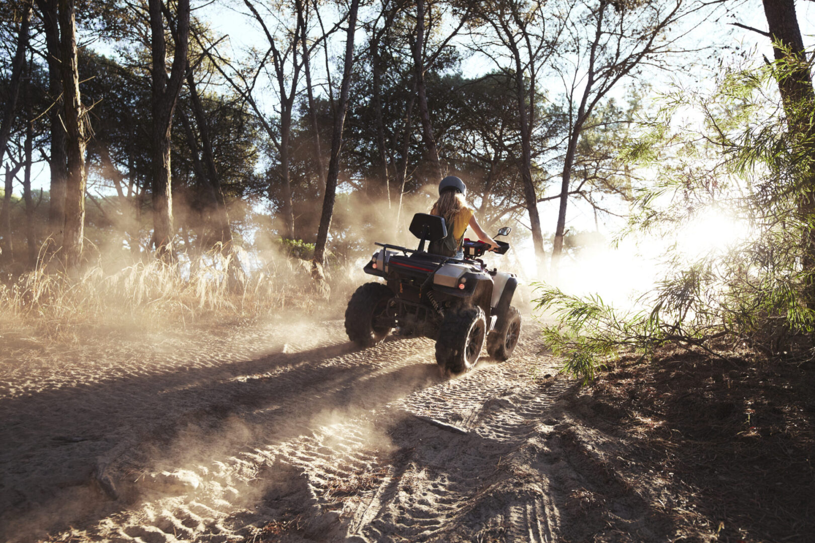 Quad bike exploring a wooded trail
