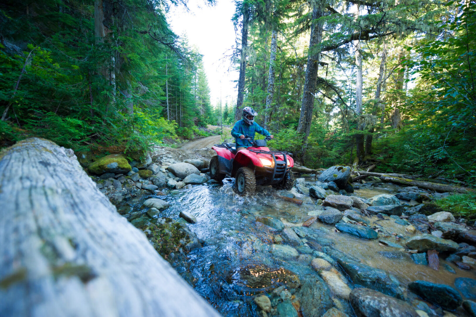 ATV crossing rocky forest stream